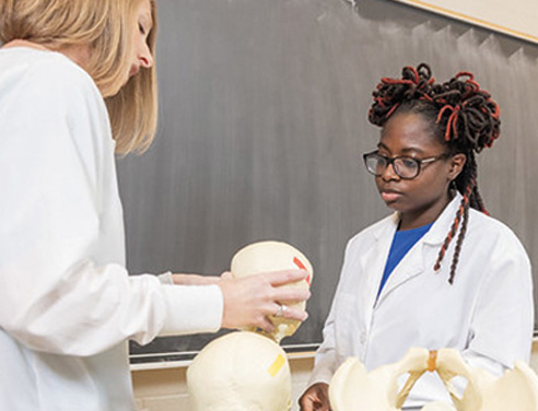 A young female student being taught anatomy