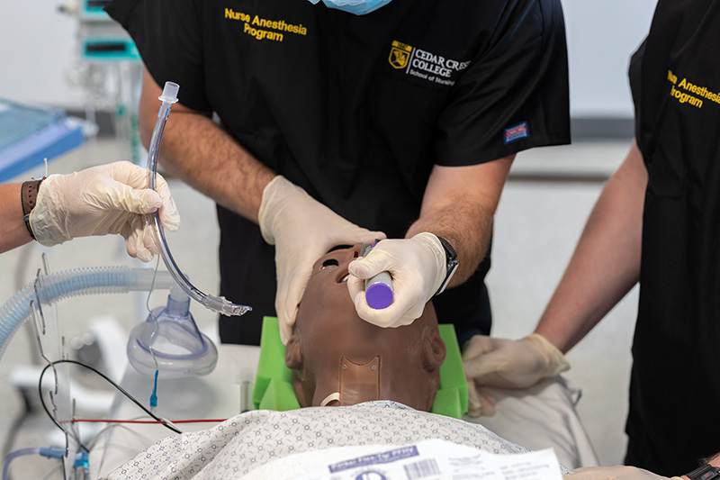 Nurse Anesthesia Students in the SIM Lab