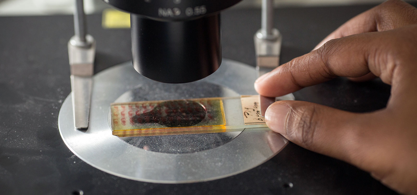 Science Lab Microscope