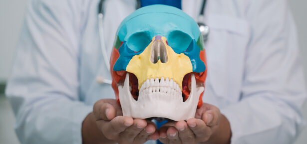 Skull Forensic Science