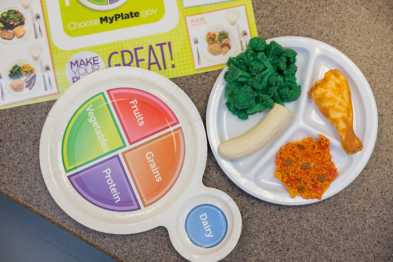 Master of Nutrition Virtual Information Session Image