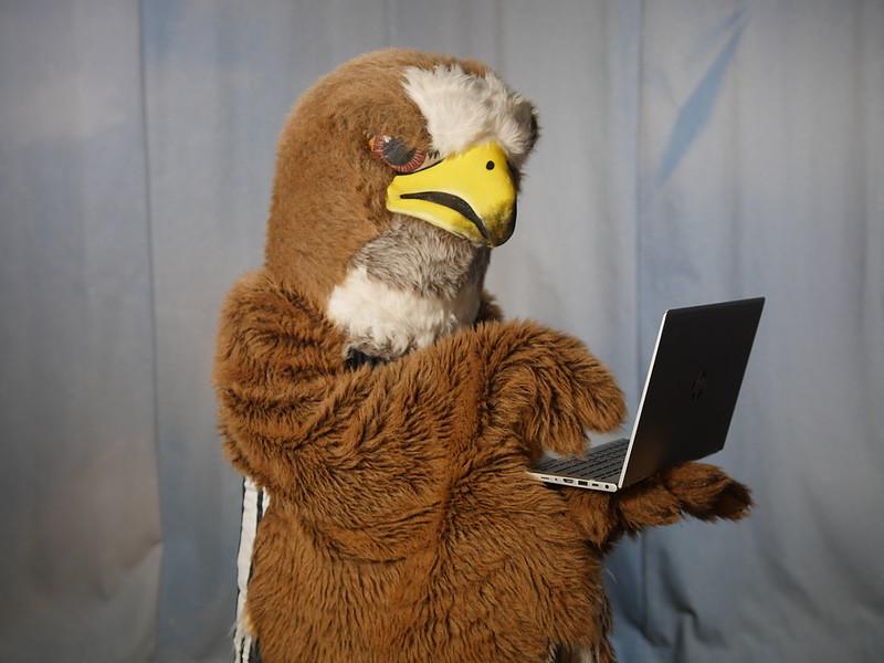 FAFSA Filing Night Image